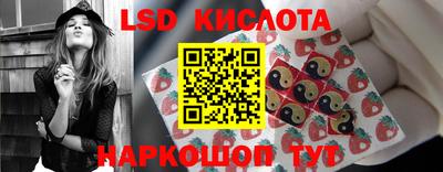 сатива Можга