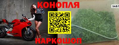 сатива Можга