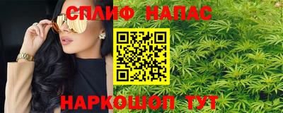 сатива Можга