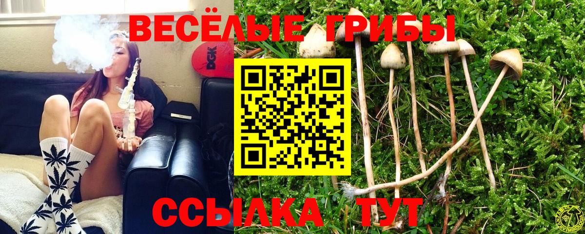 Галлюциногенные грибы Magic Shrooms Киров