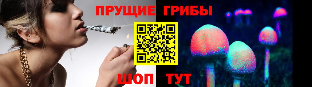 Киров  купить наркотики цена  Вход с VPN  Галлюциногенные грибы Psilocybe 